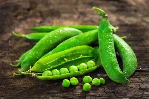 慢脚文化吃瓜,品味生活，共享悠闲时光