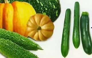 大丽花结的瓜怎样吃,探索独特食用新方式