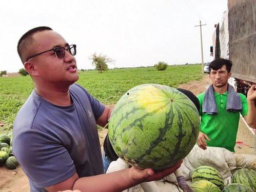 每日大瓜吃瓜新闻,揭秘娱乐圈最新热点,吃瓜群众速来围观!