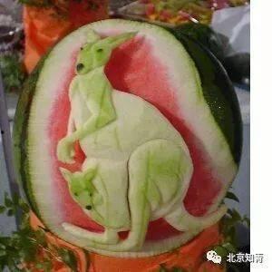 吃新瓜祝福视频,吃新瓜祝福视频温情回顾