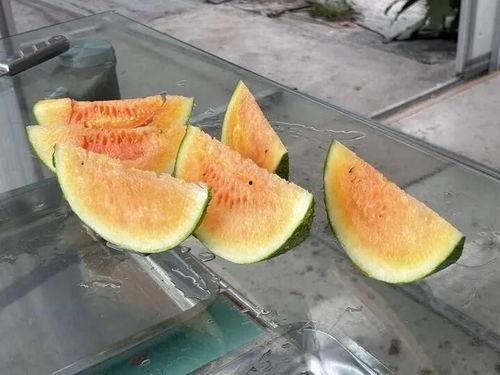 文艺圈-自由吃瓜,自由吃瓜,揭秘娱乐圈幕后故事