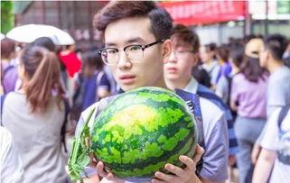 师大教育吃瓜,揭秘校园“吃瓜”背后的真相