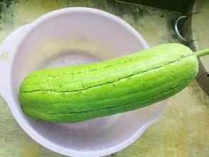 清朝人民吃瓜,瓜果飘香话瓜趣