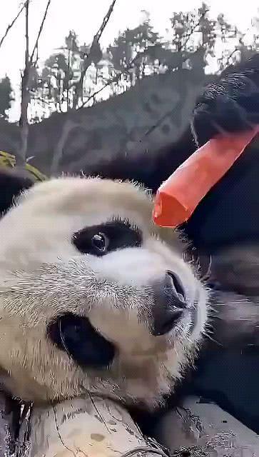 吧唧吃瓜视频完整,一场视觉盛宴的狂欢之旅